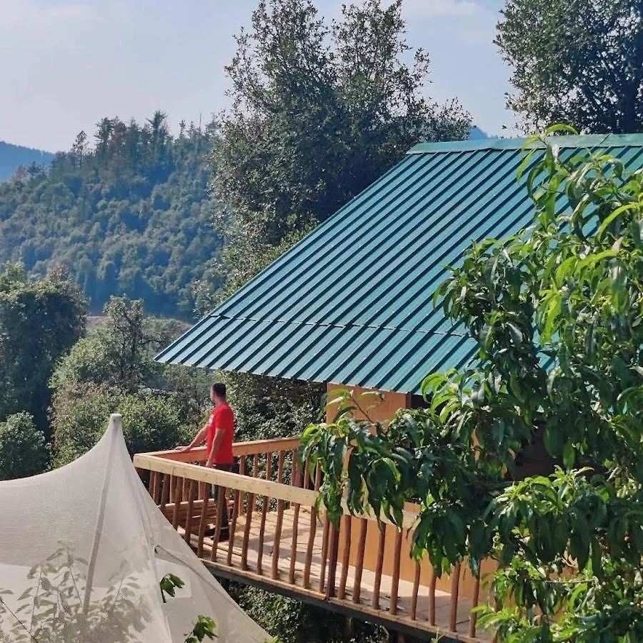 Tree Nest Resort Shimla