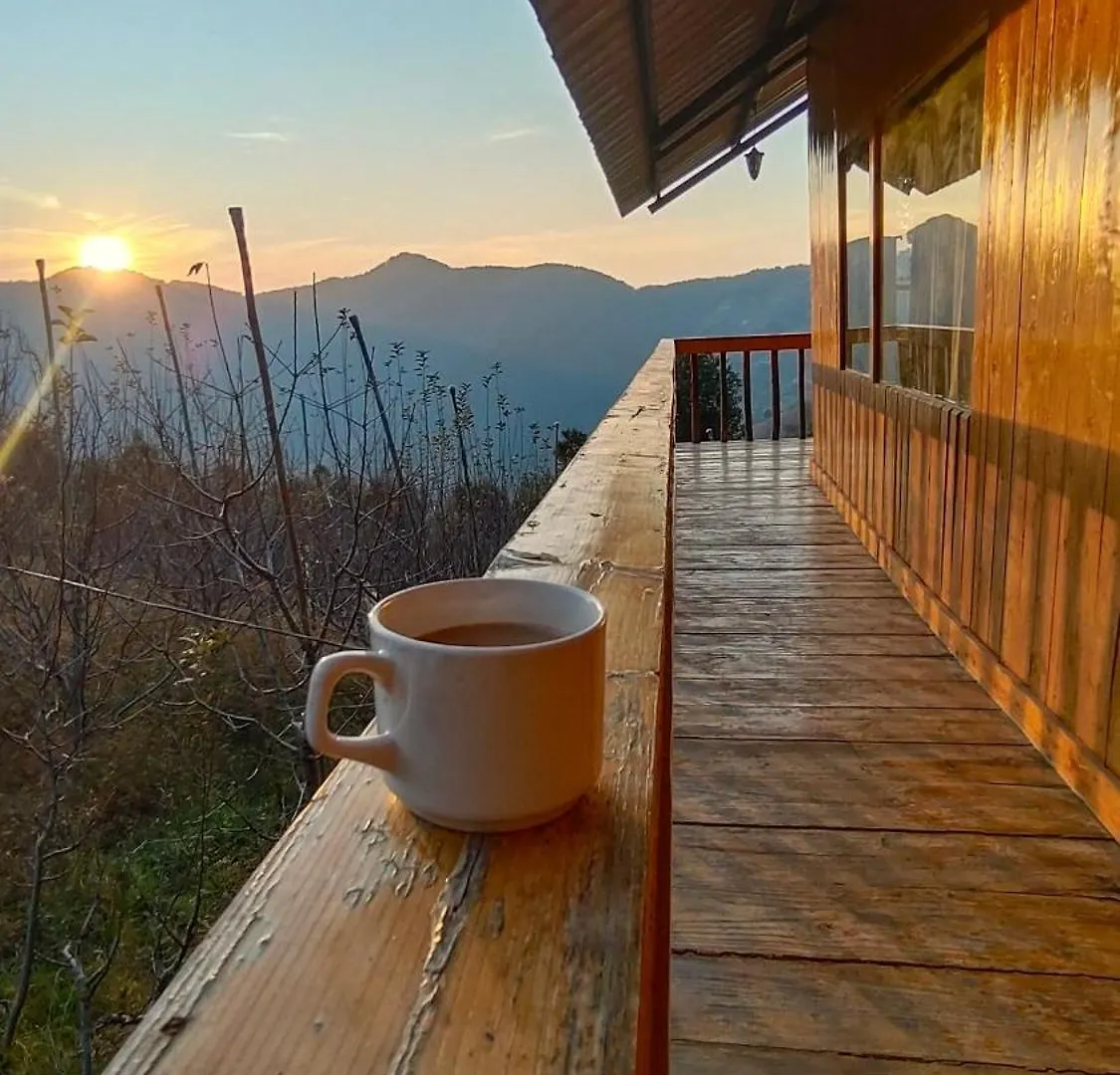 Tree Nest Resort Shimla