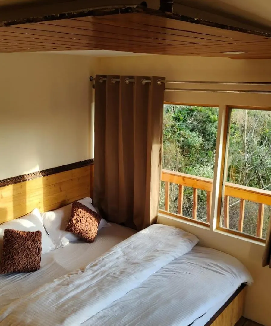 Tree Nest Resort Shimla